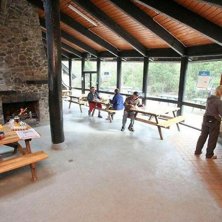 Discovery Parks - Cradle Mountain Accommodation מראה חיצוני תמונה
