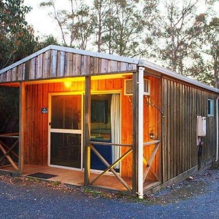 Discovery Parks - Cradle Mountain Accommodation מראה חיצוני תמונה