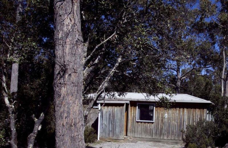 Discovery Parks - Cradle Mountain Accommodation מראה חיצוני תמונה